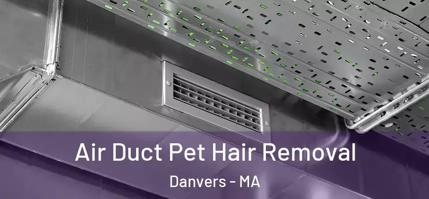 Air Duct Pet Hair Removal Danvers - MA