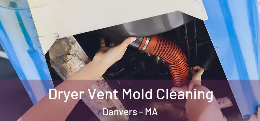 Dryer Vent Mold Cleaning Danvers - MA