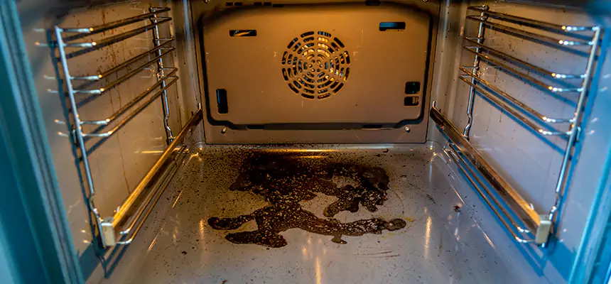 Our Dryer Vent Mold Cleaning Services in Danvers, MA