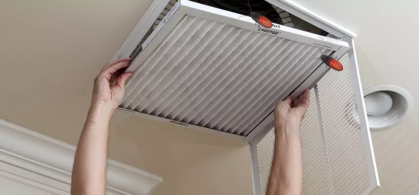 Our Insect Removal from Air Ducts Services in Danvers, MA