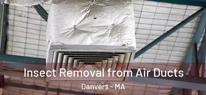  Insect Removal from Air Ducts Danvers - MA