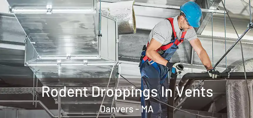  Rodent Droppings In Vents Danvers - MA
