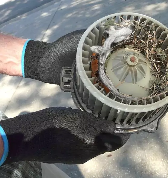 About Air Duct Mice Removal in Danvers, MA