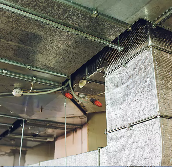 Why Homeowners & Businesses Trust Us in Danvers, MA?