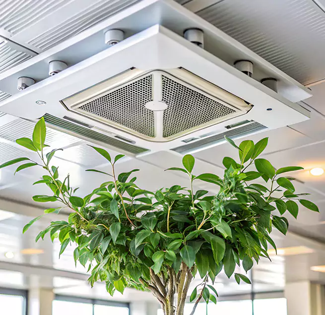 Why Homeowners & Businesses Trust Us in Danvers, MA?